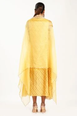 Petticoat Lane By Divya Printed Dress With Cape -Echoo Clothing Shop 208bpett 0081662 4 1