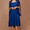 Shriya Som Blue Embellished Feather Cape & Slip Dress -Echoo Clothing Shop 2812ss16 1