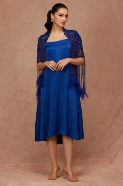 Shriya Som Blue Embellished Feather Cape & Slip Dress