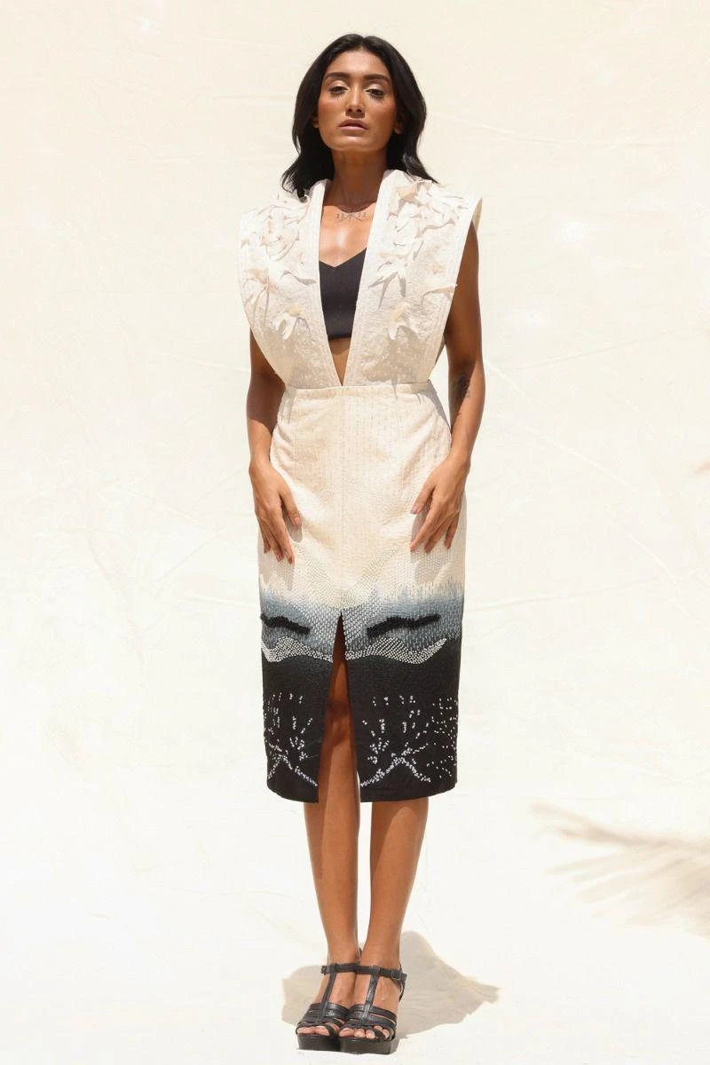 Richa Khemka Beige & Black Embellished Dress 5 Richa Khemka Beige & Black Embellished Dress - Image 3