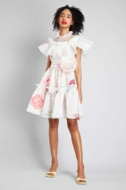 Gauri & Nainika Sheer Neck Short Dress With Ruffles